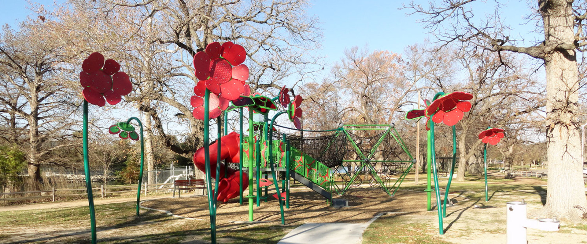 Environmental Organizations in Georgetown, TX: Membership Options Explained