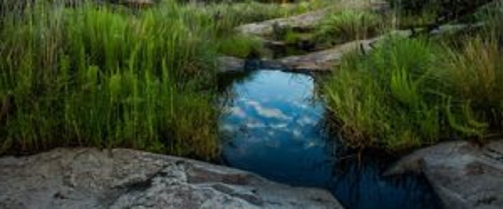 Georgetown, TX: Taking Action to Protect the Planet