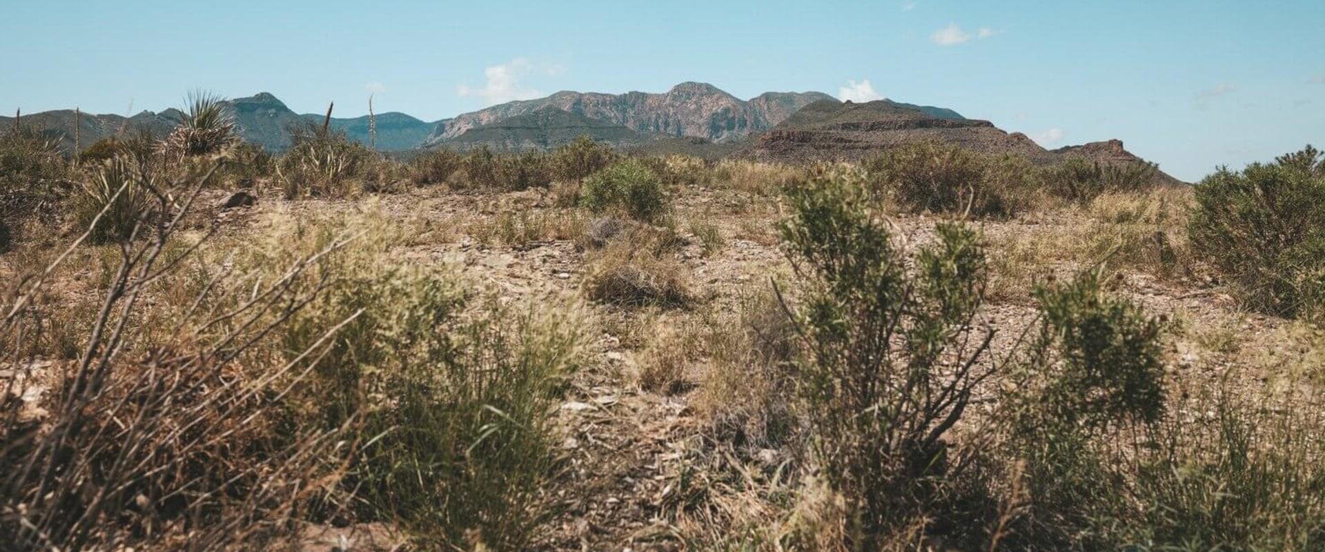 How to Make a Difference in Georgetown, TX: Supporting and Contributing to Environmental Organizations