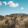 How to Make a Difference in Georgetown, TX: Supporting and Contributing to Environmental Organizations