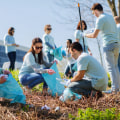 Volunteer in Georgetown, TX: Make a Difference and Get Involved