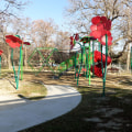 Get Involved and Make a Difference with Environmental Organizations in Georgetown, TX