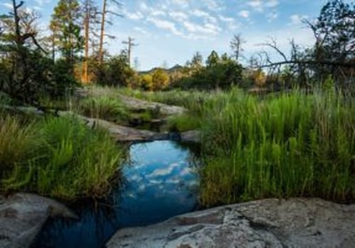 Georgetown, TX: Taking Action to Protect the Planet