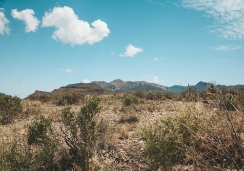 How to Make a Difference in Georgetown, TX: Supporting and Contributing to Environmental Organizations