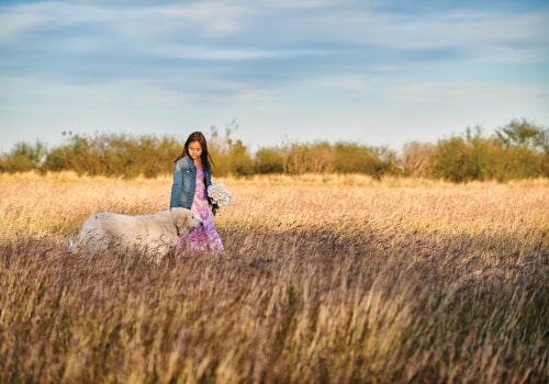 Environmental Organizations in Georgetown, TX: Educational Resources and Programs